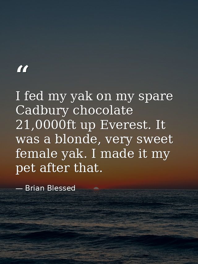 I fed my yak on my spare Cadbury chocolate 21,0000ft up Everest. It was a blonde, very sweet female yak. I made it my pe — Brian Blessed