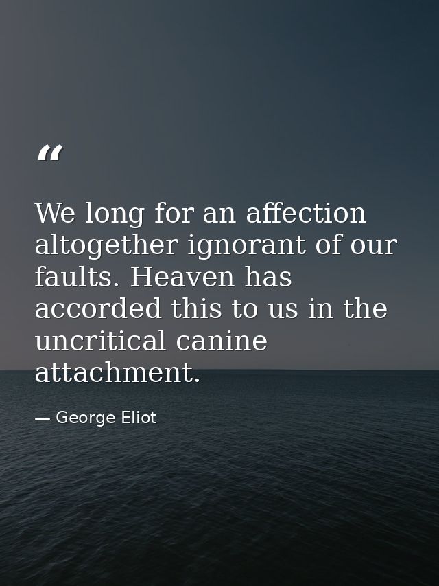 We long for an affection altogether ignorant of our faults. Heaven has accorded this to us in the uncritical canine atta — George Eliot