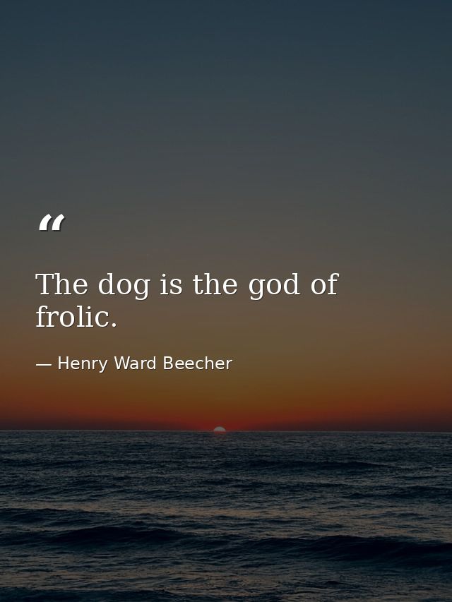 The dog is the god of frolic. — Henry Ward Beecher