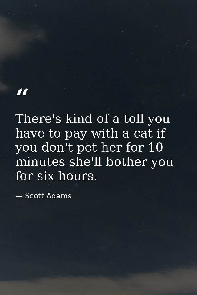 There's kind of a toll you have to pay with a cat if you don't pet her for 10 minutes she'll bother you for six hours. — Scott Adams