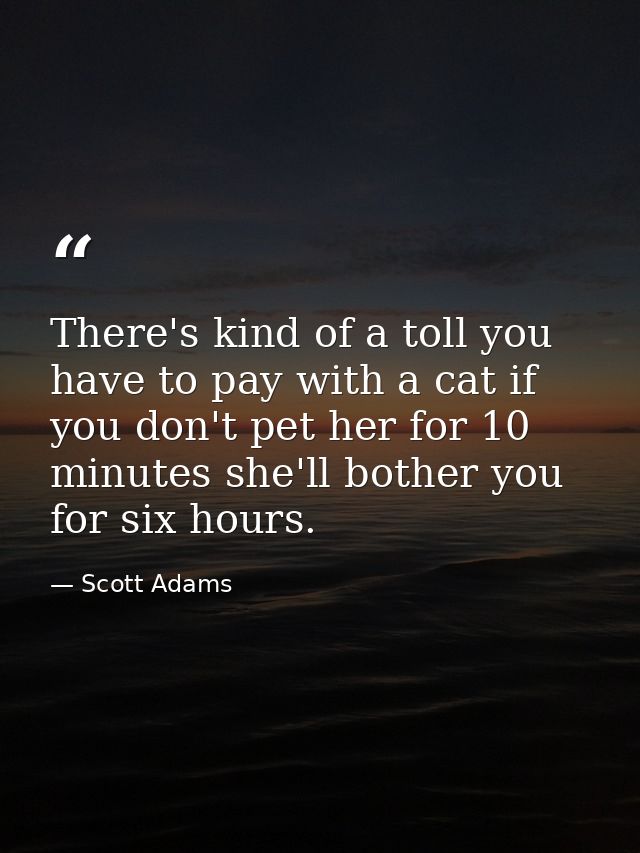 There's kind of a toll you have to pay with a cat if you don't pet her for 10 minutes she'll bother you for six hours. — Scott Adams