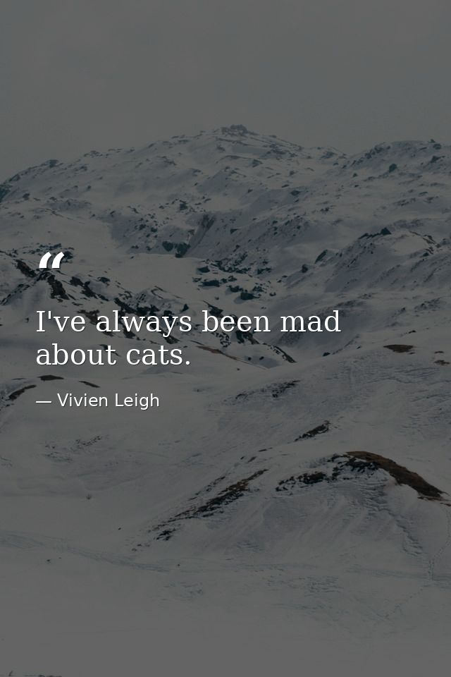 I've always been mad about cats. — Vivien Leigh
