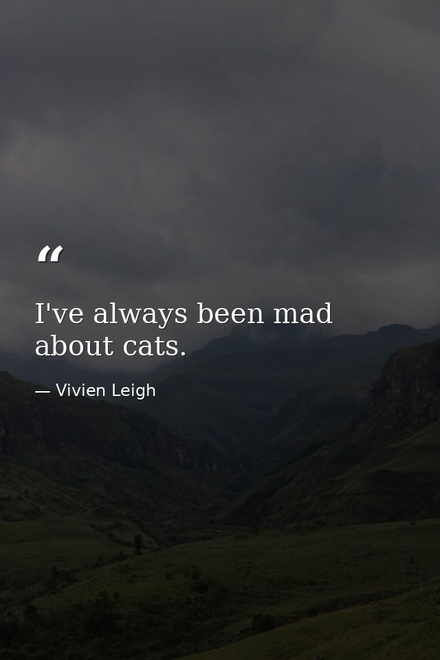 I've always been mad about cats. — Vivien Leigh