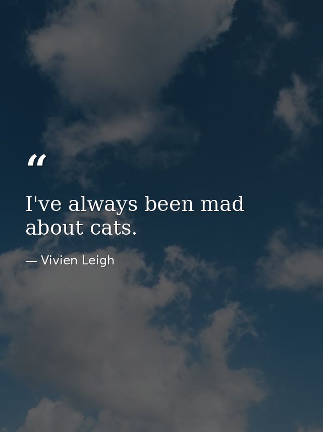 I've always been mad about cats. — Vivien Leigh