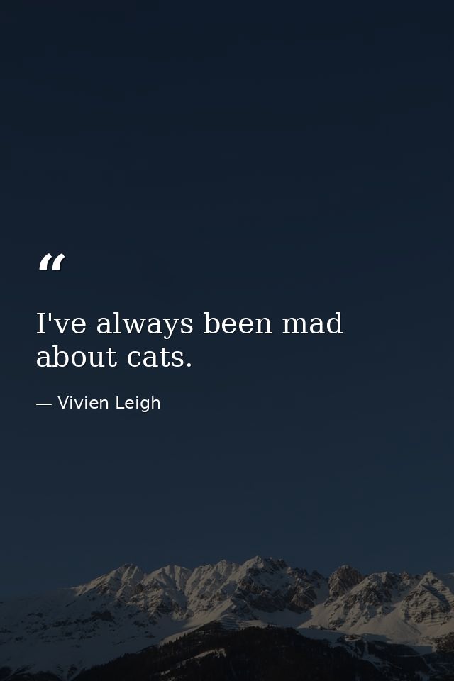 I've always been mad about cats. — Vivien Leigh