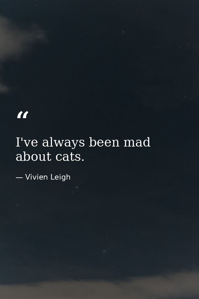 I've always been mad about cats. — Vivien Leigh