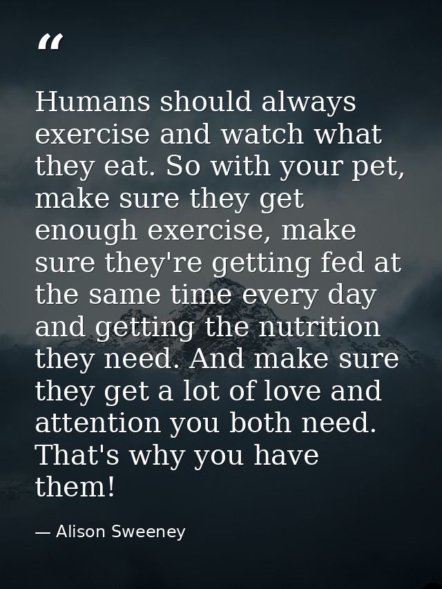 Humans should always exercise and watch what they eat. So with your pet, make sure they get enough exercise, make sure t — Alison Sweeney