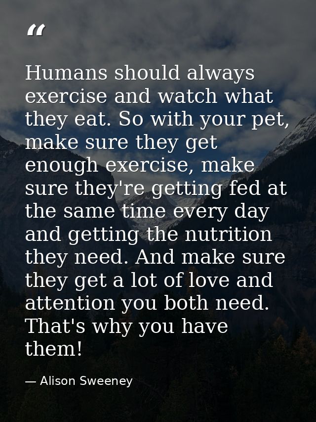 Humans should always exercise and watch what they eat. So with your pet, make sure they get enough exercise, make sure t — Alison Sweeney