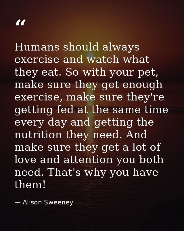Humans should always exercise and watch what they eat. So with your pet, make sure they get enough exercise, make sure t — Alison Sweeney
