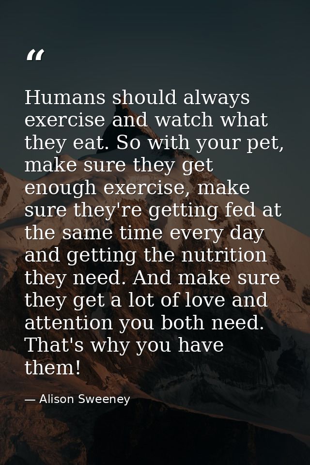 Humans should always exercise and watch what they eat. So with your pet, make sure they get enough exercise, make sure t — Alison Sweeney
