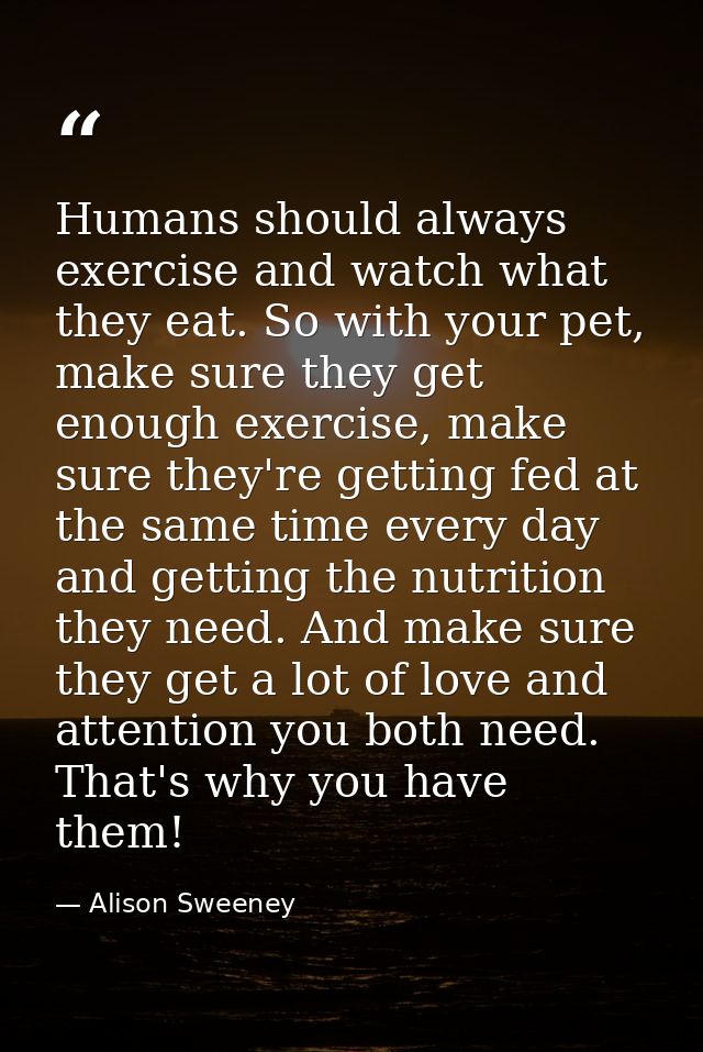 Humans should always exercise and watch what they eat. So with your pet, make sure they get enough exercise, make sure t — Alison Sweeney