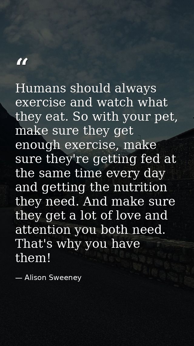 Humans should always exercise and watch what they eat. So with your pet, make sure they get enough exercise, make sure t — Alison Sweeney