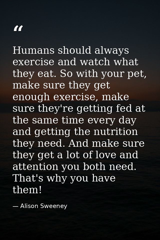 Humans should always exercise and watch what they eat. So with your pet, make sure they get enough exercise, make sure t — Alison Sweeney