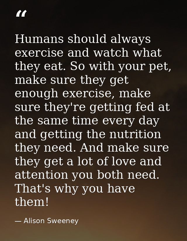 Humans should always exercise and watch what they eat. So with your pet, make sure they get enough exercise, make sure t — Alison Sweeney
