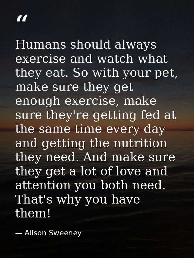Humans should always exercise and watch what they eat. So with your pet, make sure they get enough exercise, make sure t — Alison Sweeney