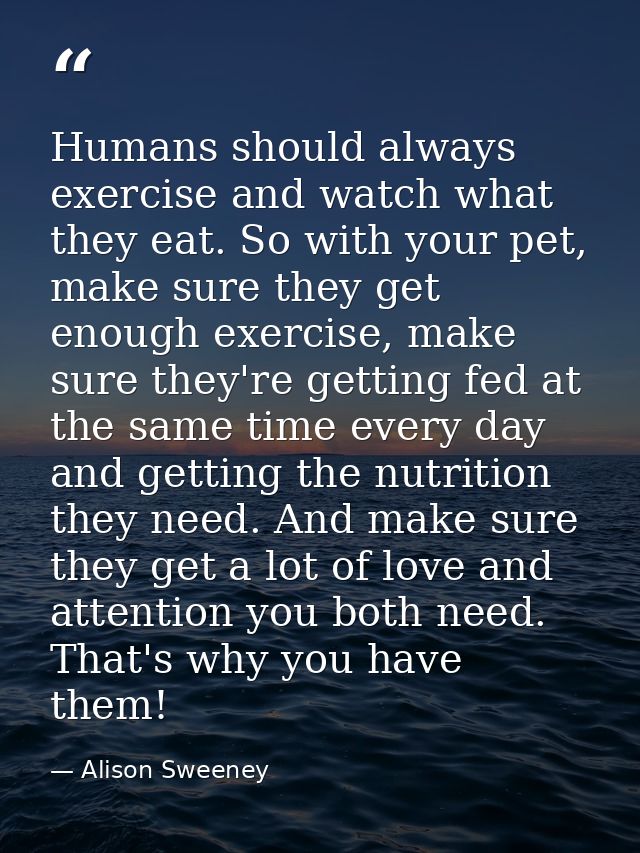 Humans should always exercise and watch what they eat. So with your pet, make sure they get enough exercise, make sure t — Alison Sweeney