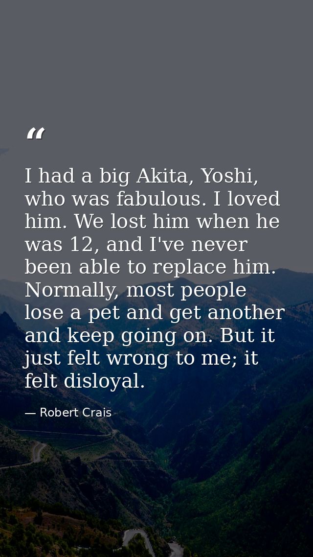 I had a big Akita, Yoshi, who was fabulous. I loved him. We lost him when he was 12, and I've never been able to replace — Robert Crais