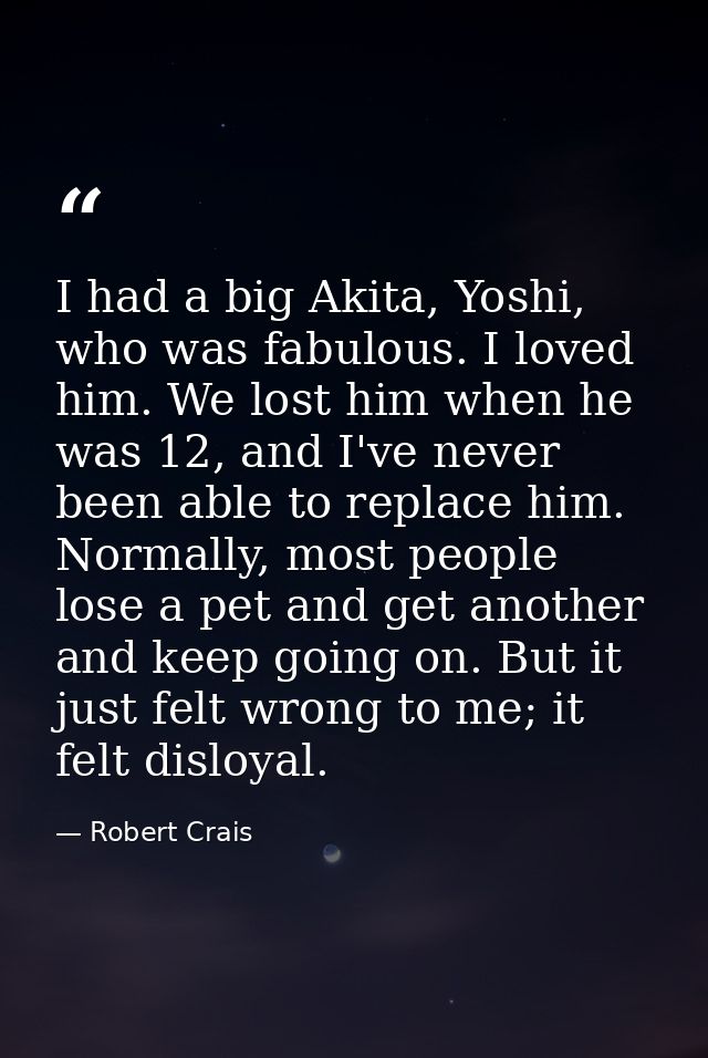 I had a big Akita, Yoshi, who was fabulous. I loved him. We lost him when he was 12, and I've never been able to replace — Robert Crais