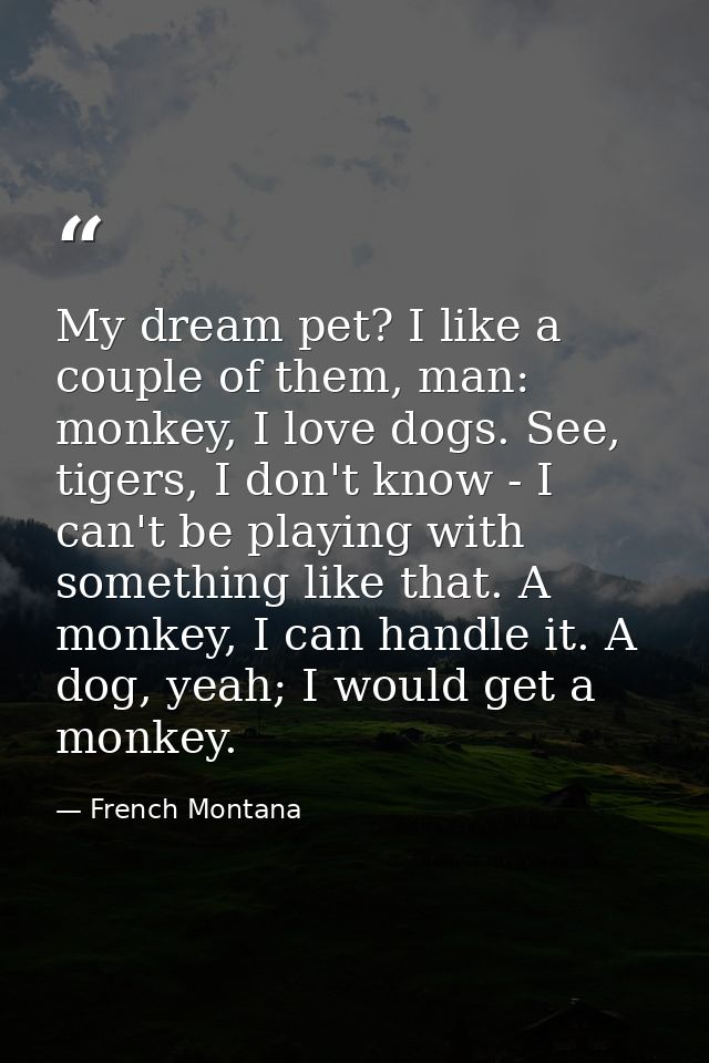 My dream pet? I like a couple of them, man: monkey, I love dogs. See, tigers, I don't know - I can't be playing with som — French Montana