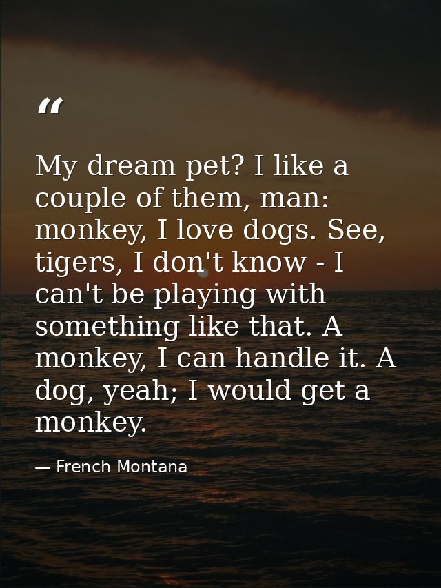 My dream pet? I like a couple of them, man: monkey, I love dogs. See, tigers, I don't know - I can't be playing with som — French Montana