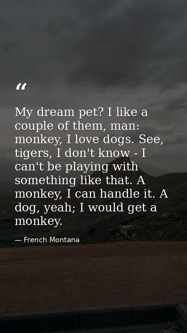 My dream pet? I like a couple of them, man: monkey, I love dogs. See, tigers, I don't know - I can't be playing with som — French Montana