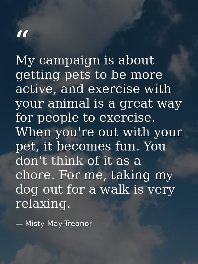 My campaign is about getting pets to be more active, and exercise with your animal is a great way for people to exercise — Misty May-Treanor