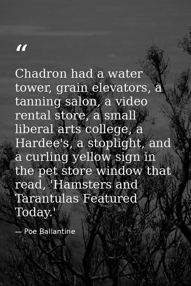 Chadron had a water tower, grain elevators, a tanning salon, a video rental store, a small liberal arts college, a Harde — Poe Ballantine
