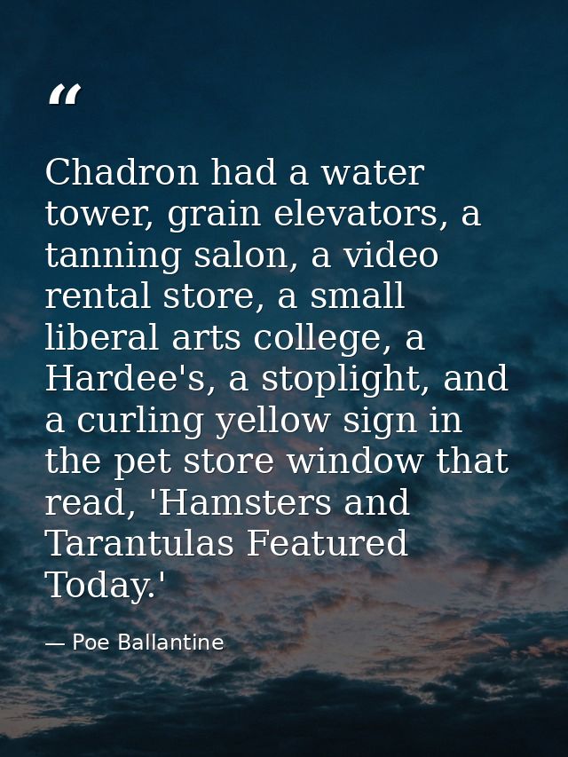 Chadron had a water tower, grain elevators, a tanning salon, a video rental store, a small liberal arts college, a Harde — Poe Ballantine
