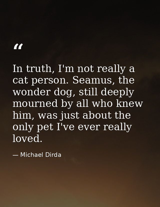 In truth, I'm not really a cat person. Seamus, the wonder dog, still deeply mourned by all who knew him, was just about  — Michael Dirda