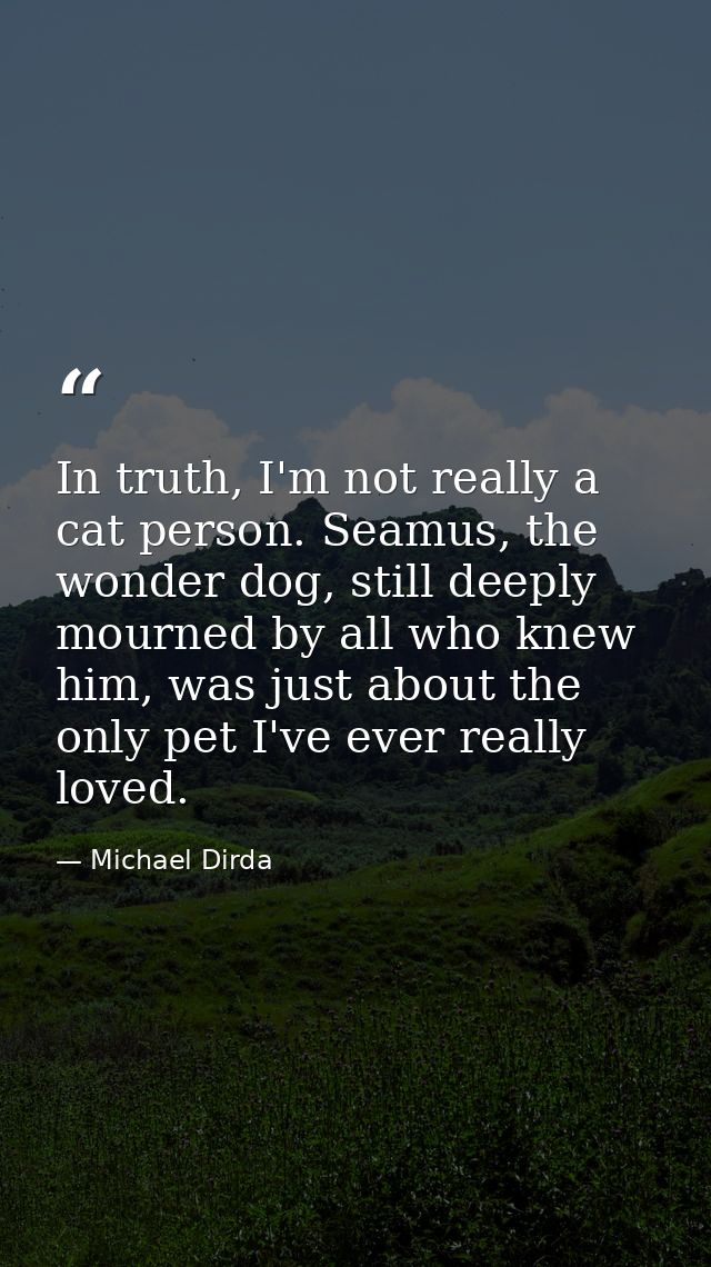 In truth, I'm not really a cat person. Seamus, the wonder dog, still deeply mourned by all who knew him, was just about  — Michael Dirda