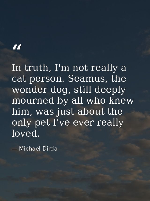 In truth, I'm not really a cat person. Seamus, the wonder dog, still deeply mourned by all who knew him, was just about  — Michael Dirda