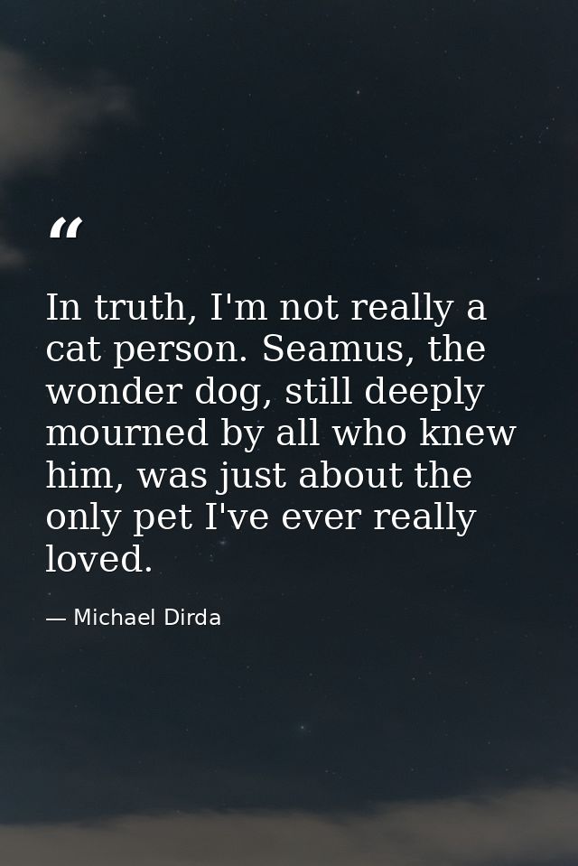 In truth, I'm not really a cat person. Seamus, the wonder dog, still deeply mourned by all who knew him, was just about  — Michael Dirda