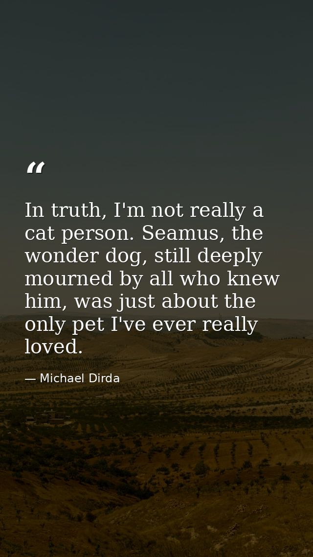In truth, I'm not really a cat person. Seamus, the wonder dog, still deeply mourned by all who knew him, was just about  — Michael Dirda