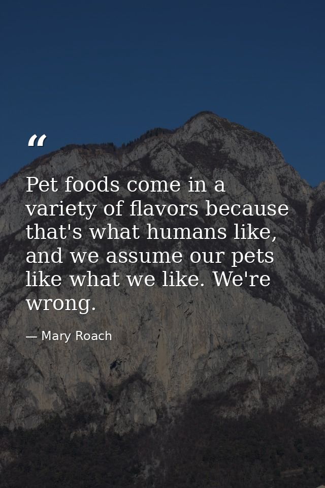 Pet foods come in a variety of flavors because that's what humans like, and we assume our pets like what we like. We're  — Mary Roach