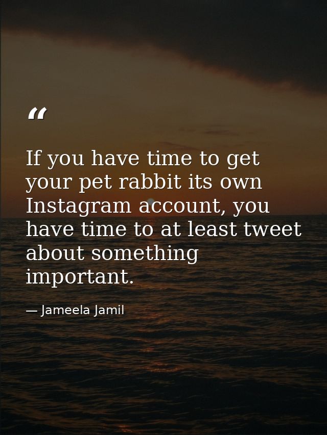 If you have time to get your pet rabbit its own Instagram account, you have time to at least tweet about something impor — Jameela Jamil