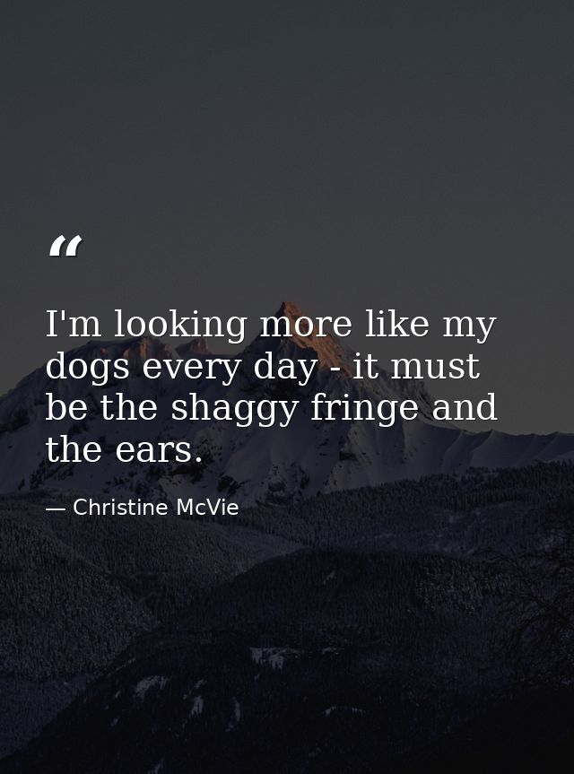 I'm looking more like my dogs every day - it must be the shaggy fringe and the ears. — Christine McVie