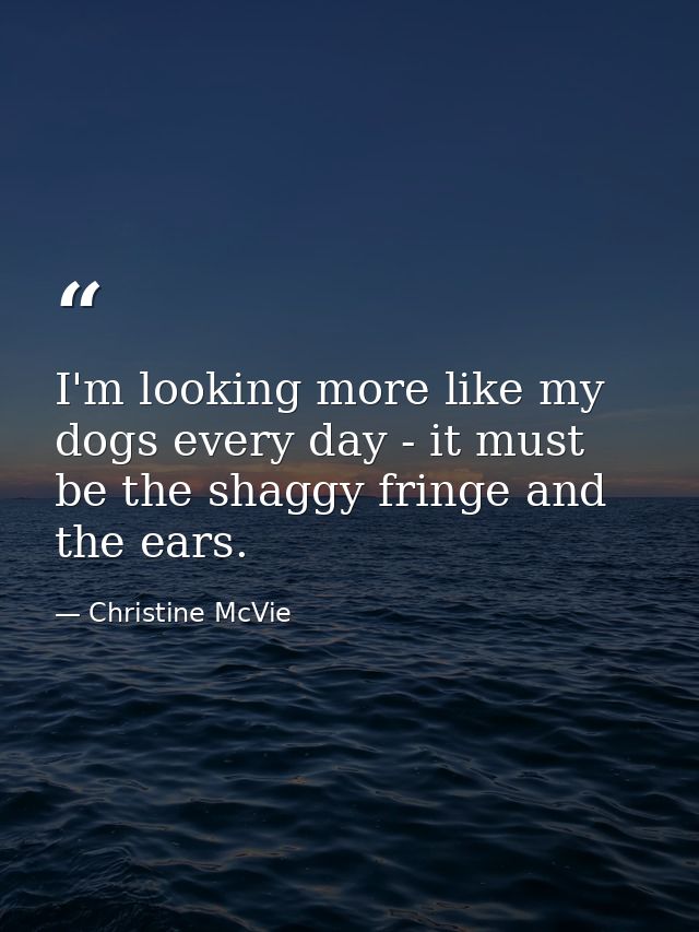 I'm looking more like my dogs every day - it must be the shaggy fringe and the ears. — Christine McVie