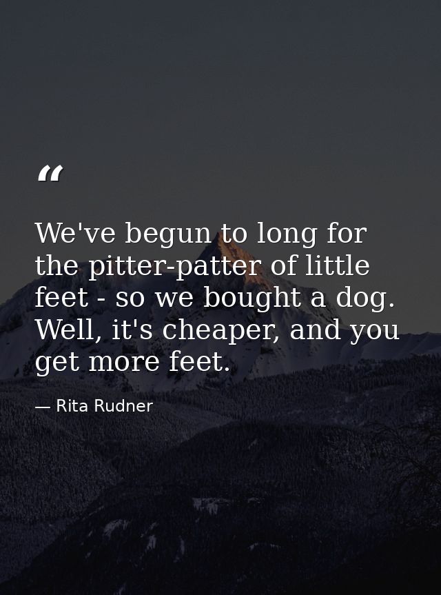 We've begun to long for the pitter-patter of little feet - so we bought a dog. Well, it's cheaper, and you get more feet — Rita Rudner