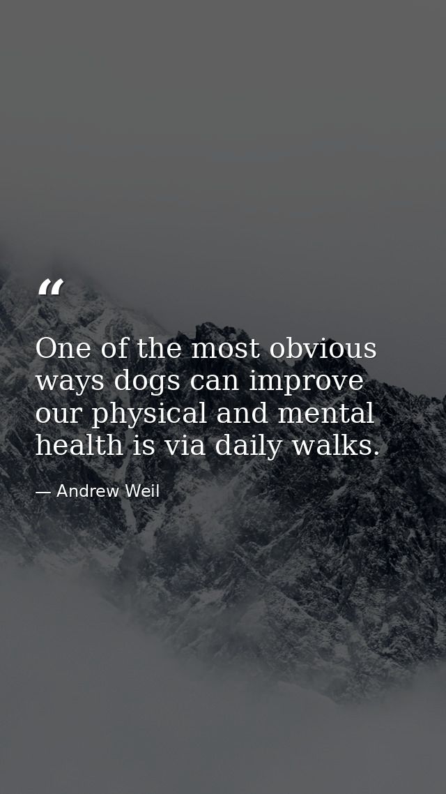 One of the most obvious ways dogs can improve our physical and mental health is via daily walks. — Andrew Weil