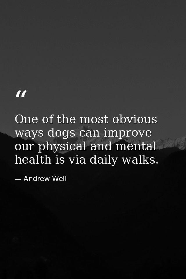 One of the most obvious ways dogs can improve our physical and mental health is via daily walks. — Andrew Weil