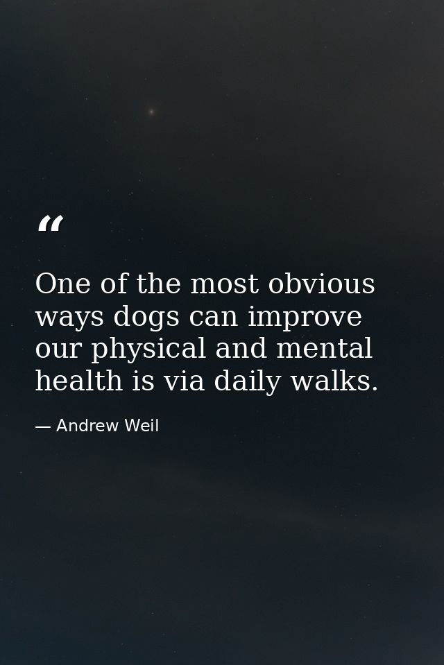 One of the most obvious ways dogs can improve our physical and mental health is via daily walks. — Andrew Weil