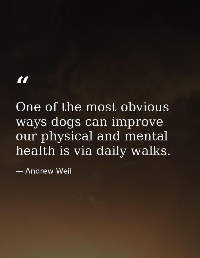 One of the most obvious ways dogs can improve our physical and mental health is via daily walks. — Andrew Weil