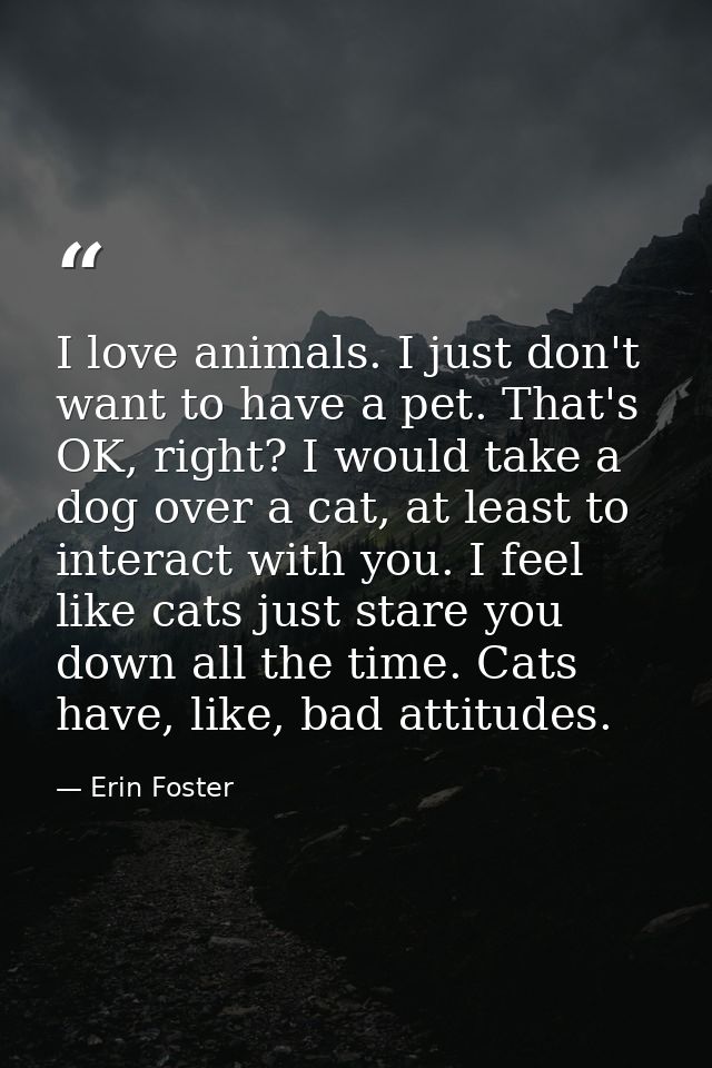 I love animals. I just don't want to have a pet. That's OK, right? I would take a dog over a cat, at least to interact w — Erin Foster