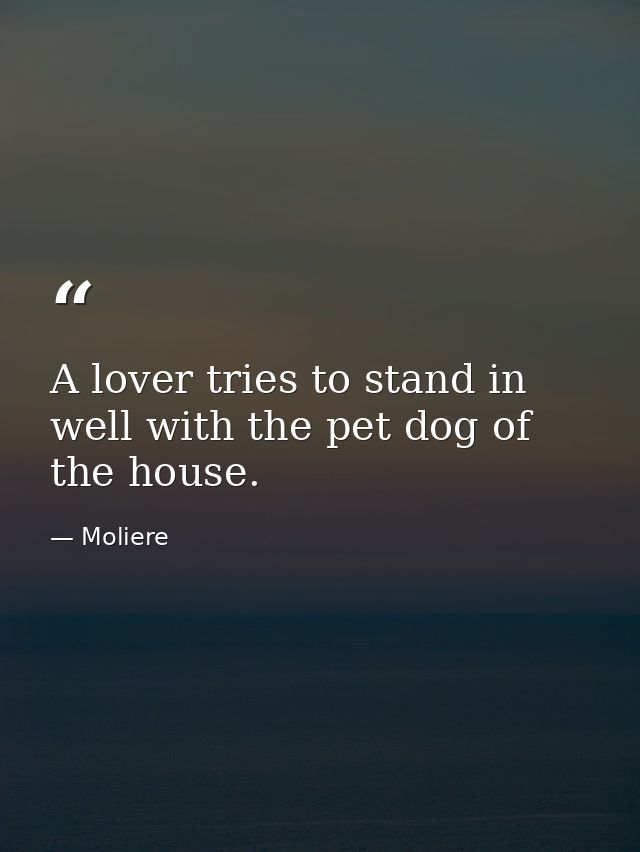 A lover tries to stand in well with the pet dog of the house. — Moliere
