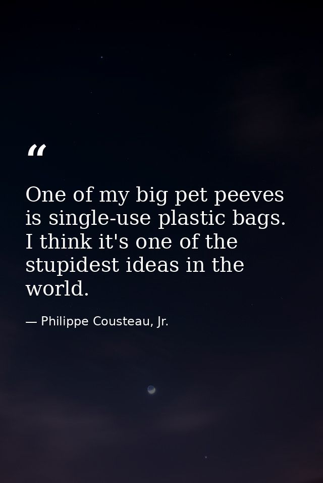 One of my big pet peeves is single-use plastic bags. I think it's one of the stupidest ideas in the world. — Philippe Cousteau, Jr.
