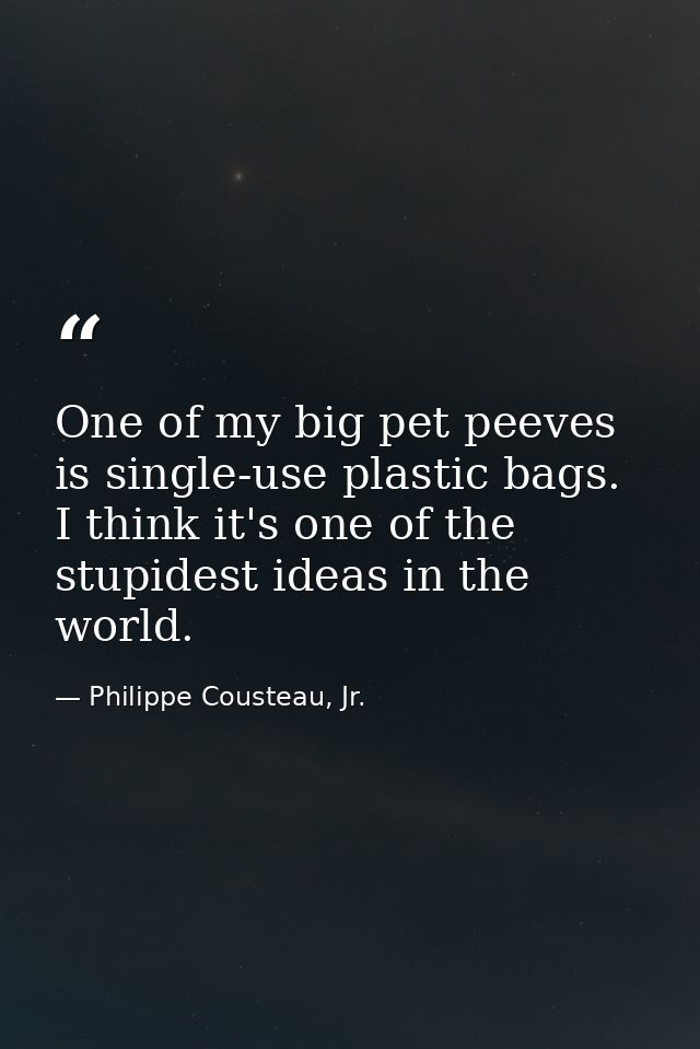One of my big pet peeves is single-use plastic bags. I think it's one of the stupidest ideas in the world. — Philippe Cousteau, Jr.