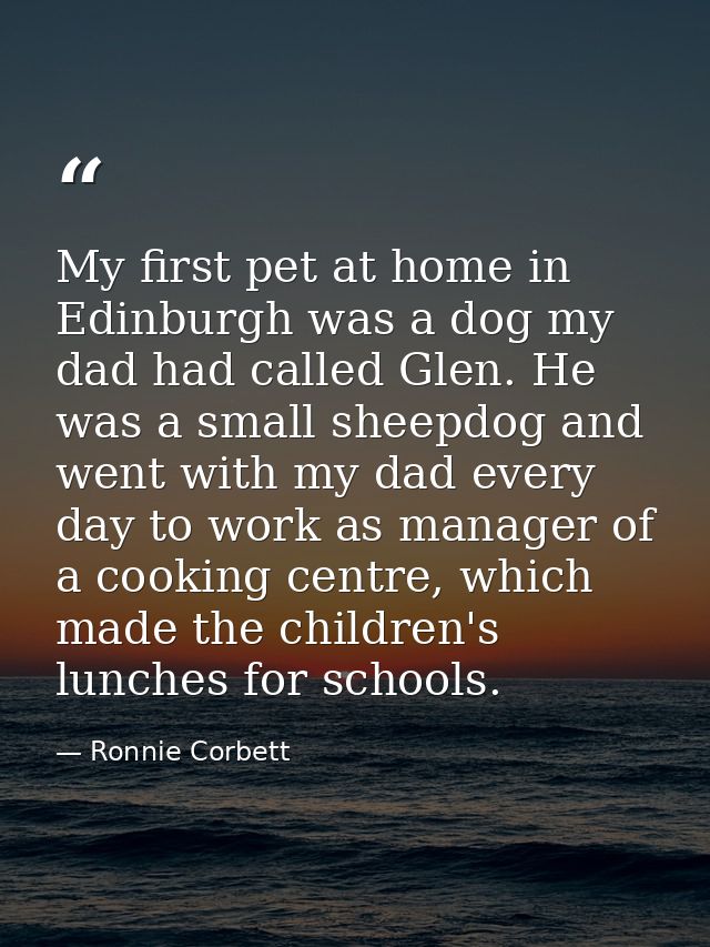 My first pet at home in Edinburgh was a dog my dad had called Glen. He was a small sheepdog and went with my dad every d — Ronnie Corbett