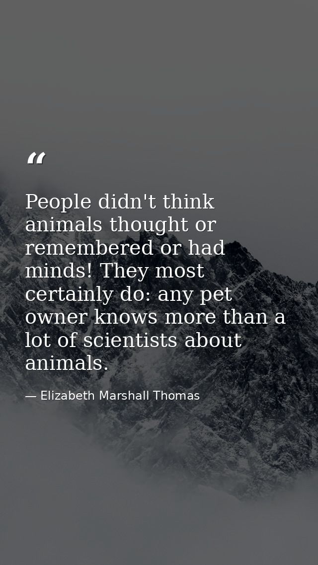 People didn't think animals thought or remembered or had minds! They most certainly do: any pet owner knows more than a  — Elizabeth Marshall Thomas