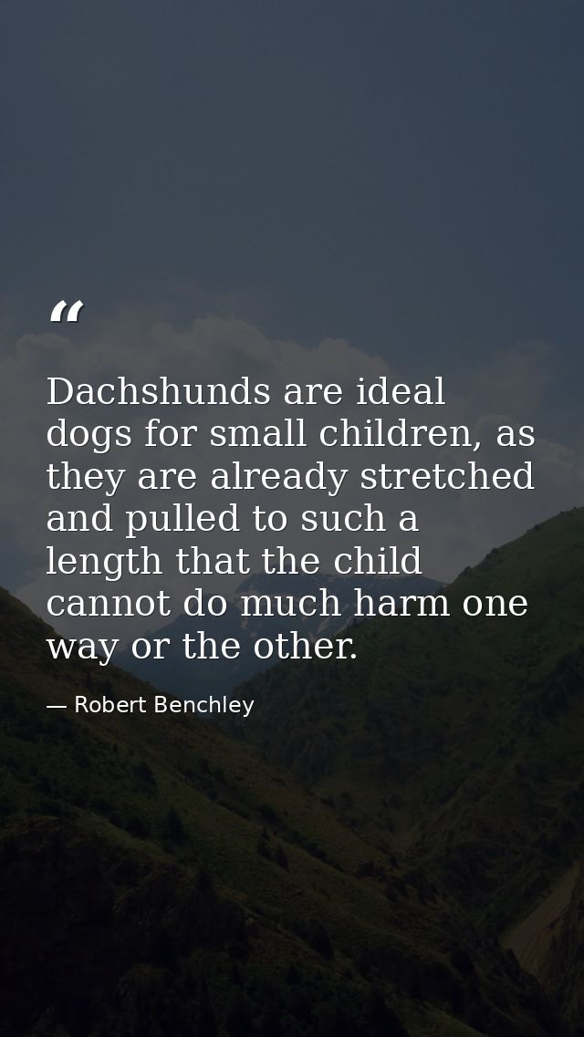 Dachshunds are ideal dogs for small children, as they are already stretched and pulled to such a length that the child c — Robert Benchley