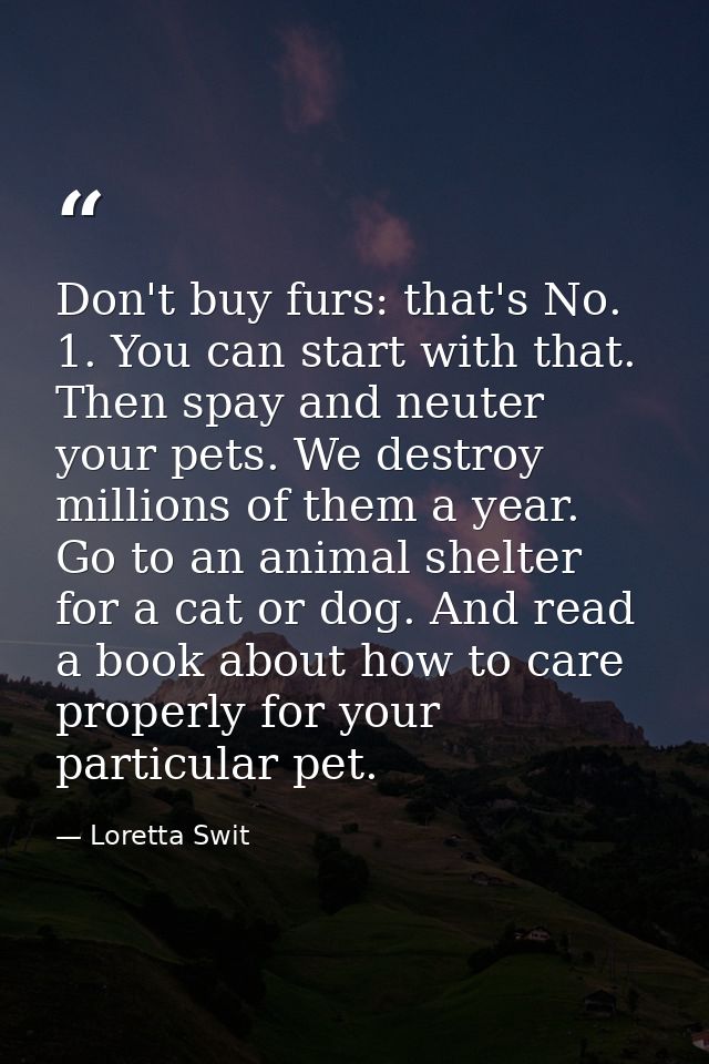 Don't buy furs: that's No. 1. You can start with that. Then spay and neuter your pets. We destroy millions of them a yea — Loretta Swit